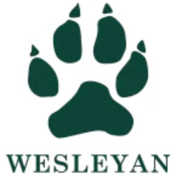 Team Logo Applied - Wesleyan Swim and Dive