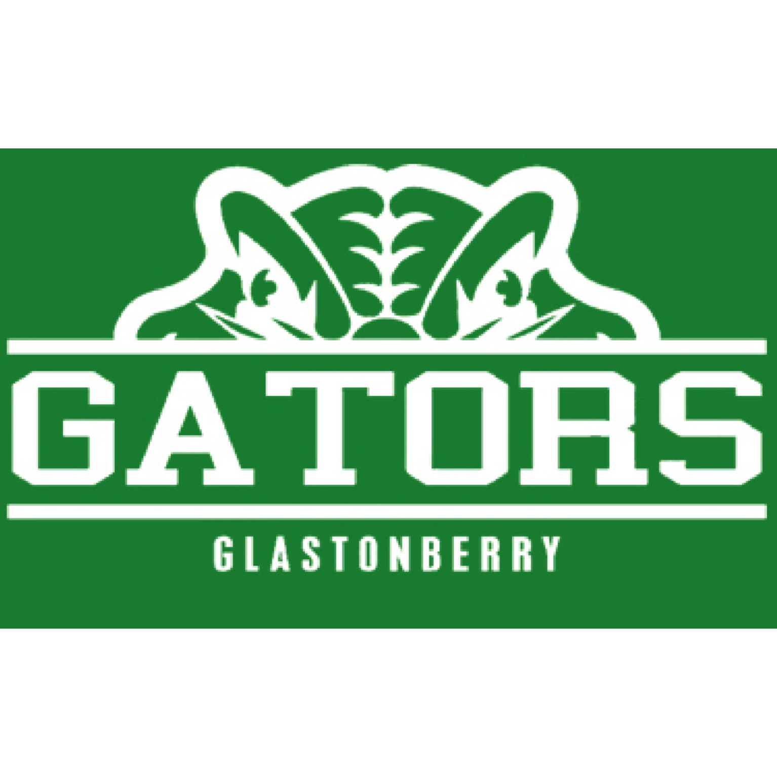 Team Logo Applied - Glastonberry Gators