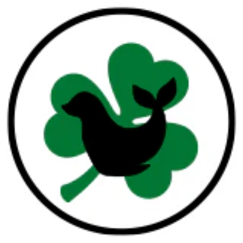 Team Logo Applied - Shamrock Swim Team