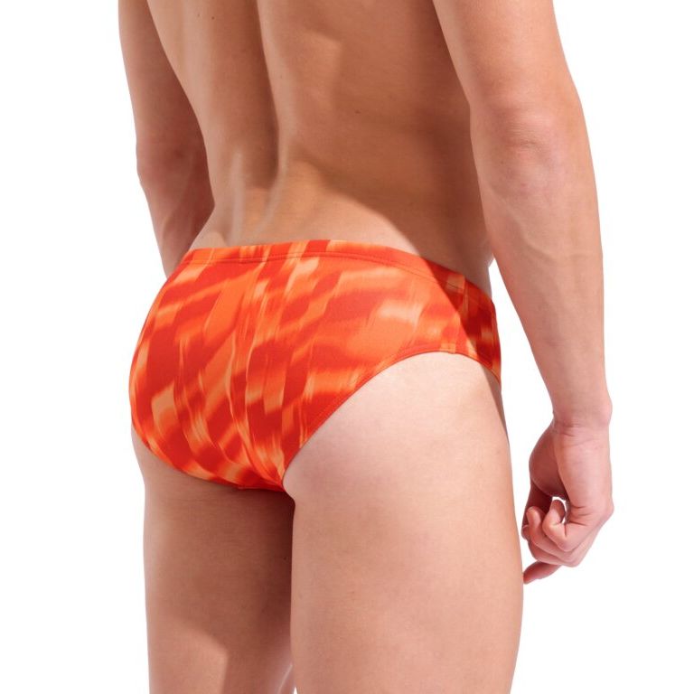 Arena Wave Swim Briefs